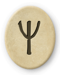 Algiz ist eine Futhark-Rune der Wikinger