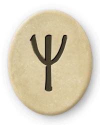 Die Futhark Rune Algiz und Skorpion