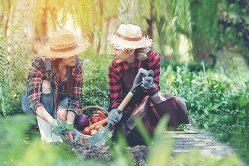 Sie beherrschen Ihre Fähigkeiten - bleiben Sie dran mit dem Online-Tarot auf Wahrsager.de!