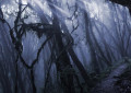 Algiz Rune | Die Runen der Wikinger